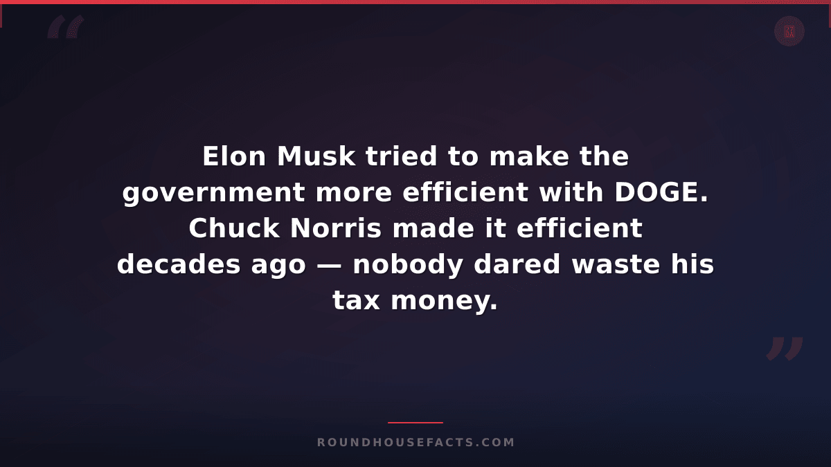 Chuck Norris Fact — Elon Musk tried to make the government more efficient with D
