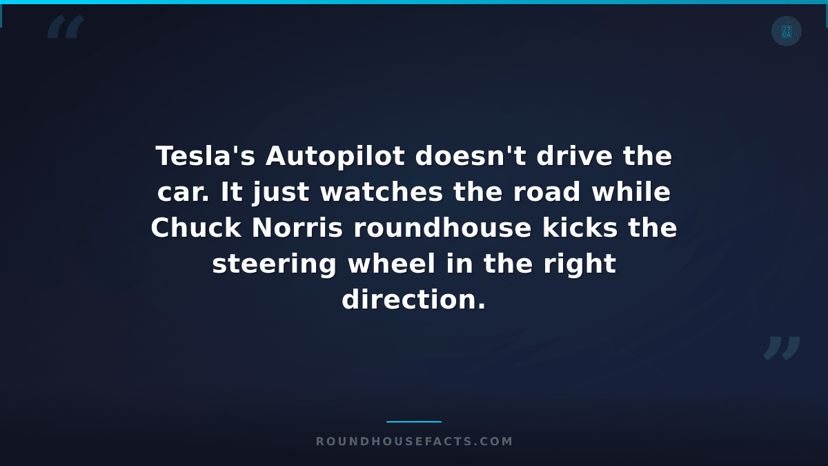 Chuck Norris Fact — Tesla's Autopilot doesn't drive the car. It just watches the