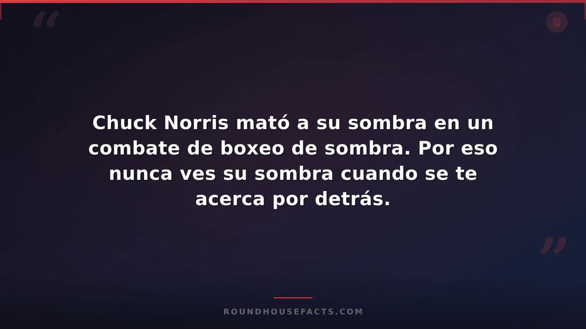 Chuck Norris Fact — Chuck Norris mató a su sombra en un combate de boxeo de somb