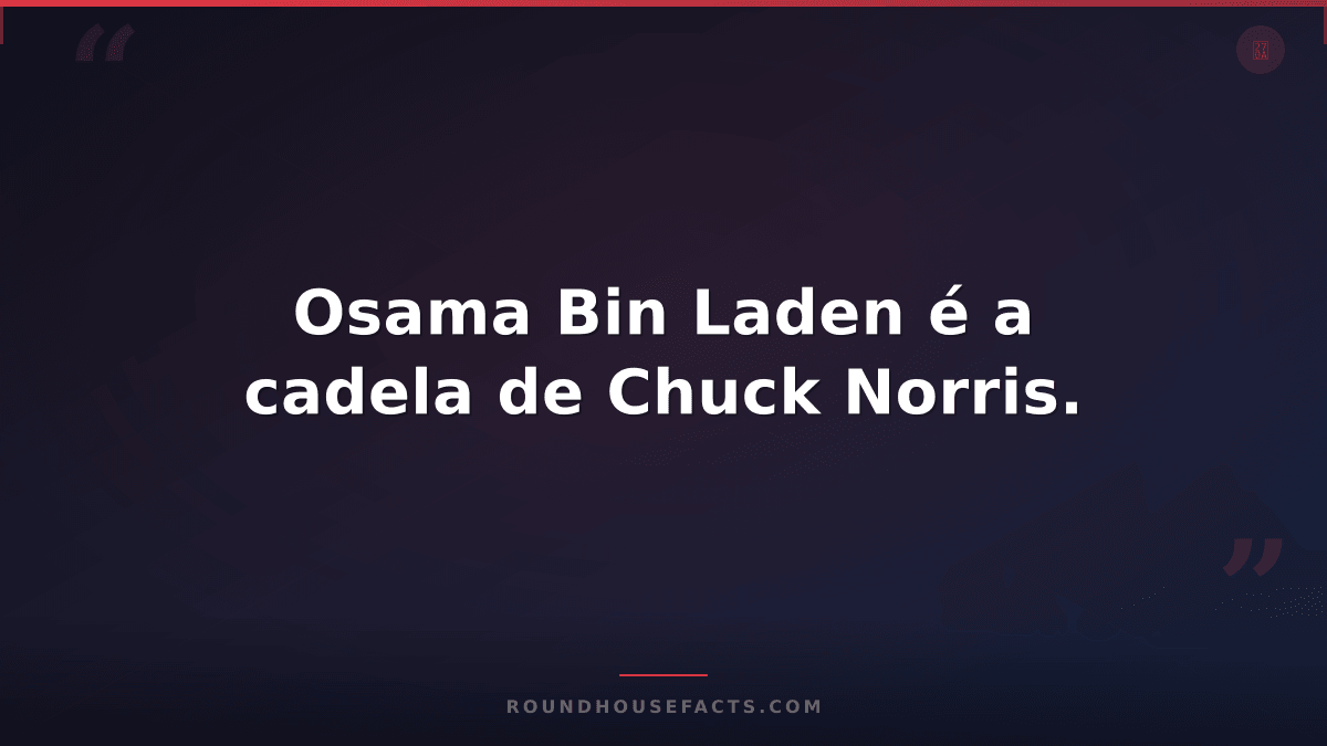 Chuck Norris Fact — Osama Bin Laden é a cadela de Chuck Norris.